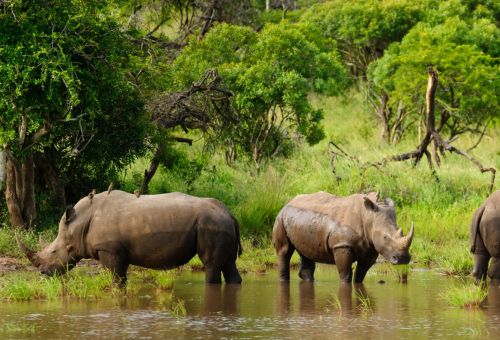 Republika Południowej Afryki (RPA)
