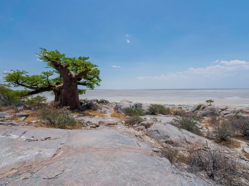 Solniska Makgadikgadi (Makgadikgadi Salt Pans)