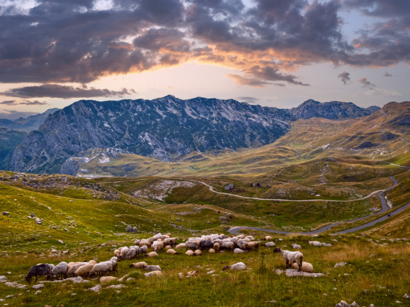Park Narodowy Durmitor