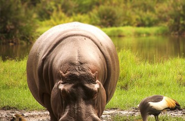Piloci polecają: Afryka