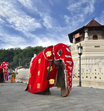 Piloci polecają: Sri Lanka