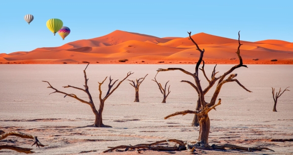 NAMIBIA: ŚLADAMI ORYKSA - PREMIUM