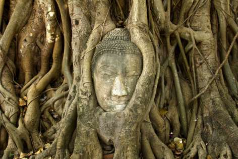 TAJLANDIA: SYJAMSKA DŻUNGLA