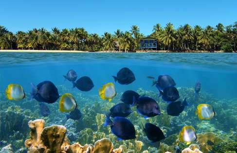 KOSTARYKA i PANAMA AKTYWNIE